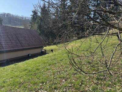 Bauernhaus mieten in 8472 Spielfeld (Bild 4)