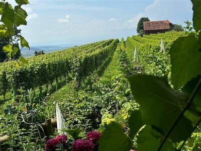 Anlageobjekt kaufen in 8413 St.Georgen