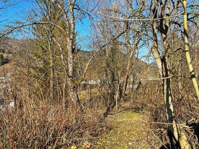 Grundstück kaufen in 3183 Freiland (Bild 3)