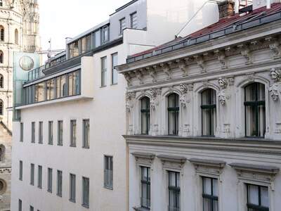 Wohnung mit Balkon kaufen in 1010 Wien (Bild 4)