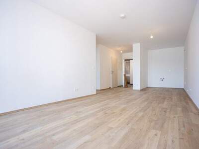 Terrassenwohnung kaufen in 2700 Wr. Neustadt (Bild 3)