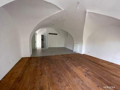 Gewerbeobjekt mieten in 2340 Mödling (Bild 1)