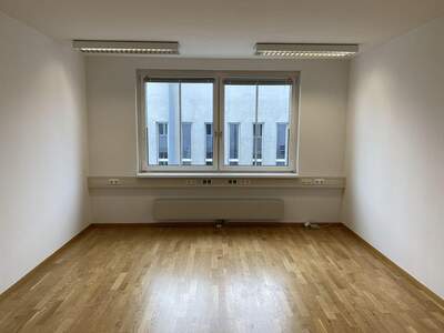 Gewerbeobjekt mieten in 1230 Wien (Bild 3)