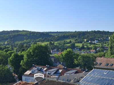 Wohnung kaufen in 1210 Wien (Bild 5)