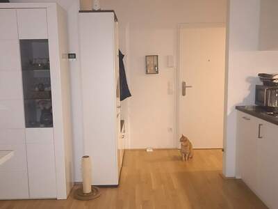 Apartment provisionsfrei mieten in 1230 Wien