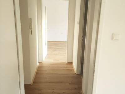 Wohnung mieten in 4053 Haid (Bild 1)