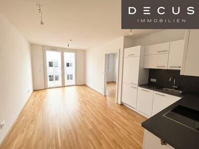 Terrassenwohnung mieten in 1220 Wien (Bild 2)