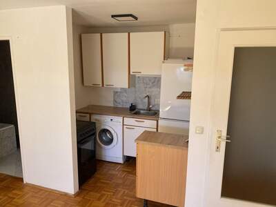 Altbauwohnung mieten in 4050 Sankt Martin (Bild 3)