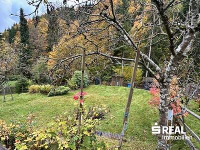 Haus kaufen in 4202 Kirchschlag (Bild 5)