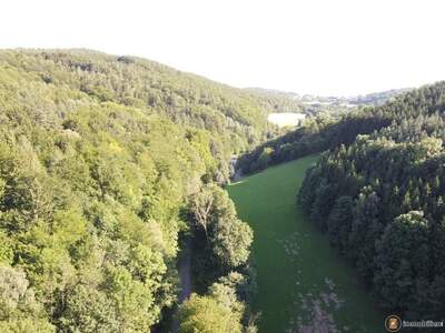 Grundstück kaufen in 7441 Pilgersdorf