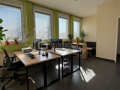 Gewerbeobjekt mieten in 2751 Steinabrückl (Bild 1)