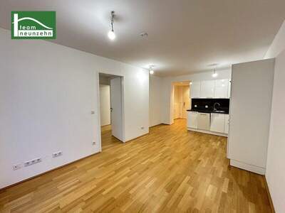 Terrassenwohnung mieten in 1210 Wien (Bild 1)