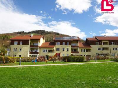 Wohnung mieten in 4560 Kirchdorf (Bild 4)