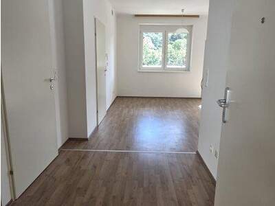 Terrassenwohnung mieten in 2754 Waldegg (Bild 5)