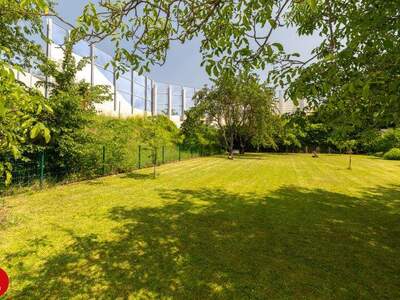 Mehrfamilienhaus kaufen in 2351 Wr. Neudorf (Bild 3)