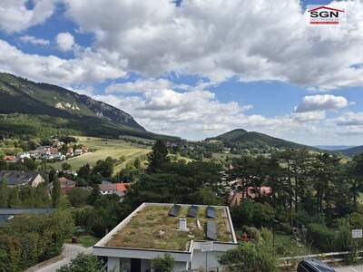 Wohnung mieten in 2733 Grünbach