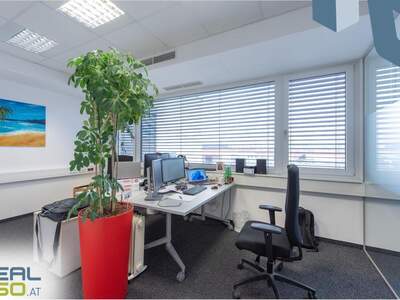 Gewerbeobjekt mieten in 4061 Pasching (Bild 4)