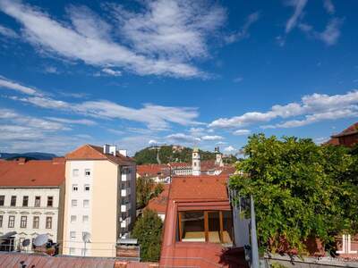 Wohnung kaufen in 8020 Graz (Bild 4)