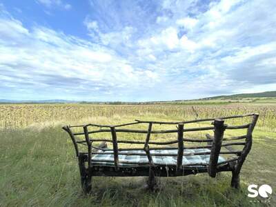 Gewerbeobjekt kaufen in 7053 Hornstein