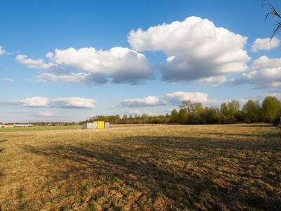 Grundstück kaufen in 4064 Oftering (Bild 1)