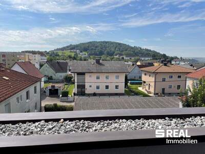 Terrassenwohnung kaufen in 4225 Luftenberg (Bild 4)