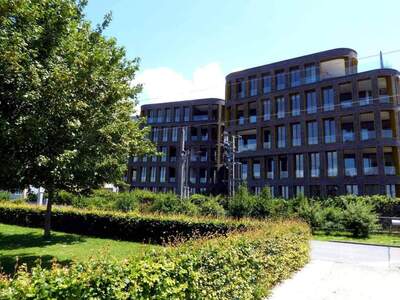 Wohnung mieten in 6900 Bregenz