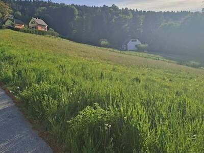 Grundstück kaufen in 8570 Voitsberg