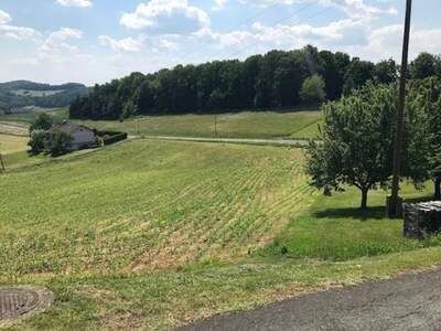 Grundstück kaufen in 8380 Grieselstein