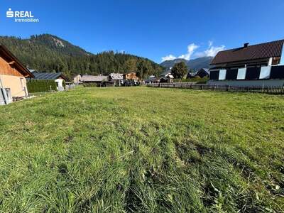 Grundstück kaufen in 8983 Bad Mitterndorf