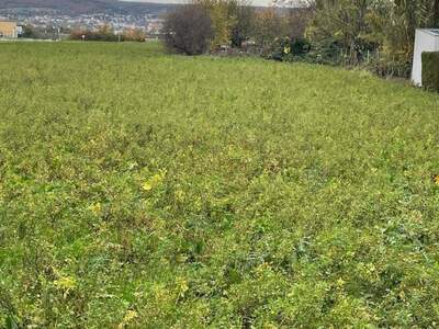 Grundstück kaufen in 7061 Trausdorf