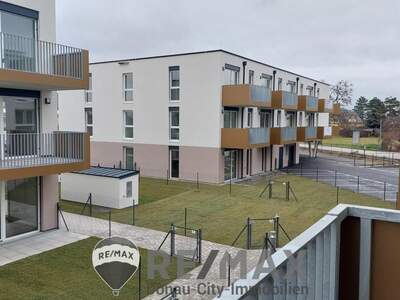 Terrassenwohnung mieten in 2201 Gerasdorf (Bild 1)