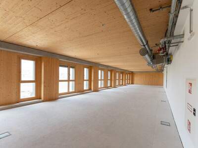Büro / Praxis mieten in 1220 Wien (Bild 1)