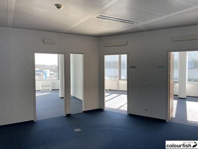 Gewerbeobjekt mieten in 1110 Wien (Bild 2)