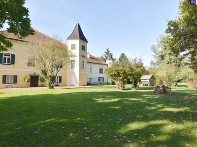 Apartment provisionsfrei mieten in 8410 Steiermark