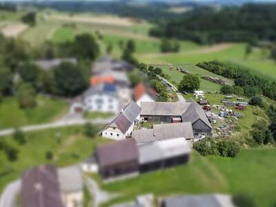 Haus kaufen in 3613 Albrechtsberg