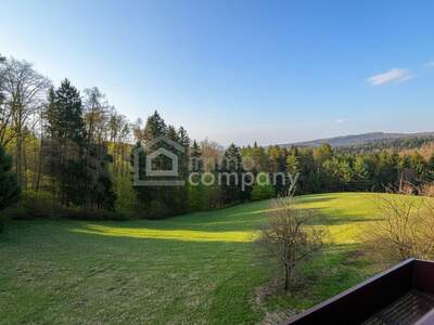 Haus kaufen in 2802 Schleinz (Bild 1)