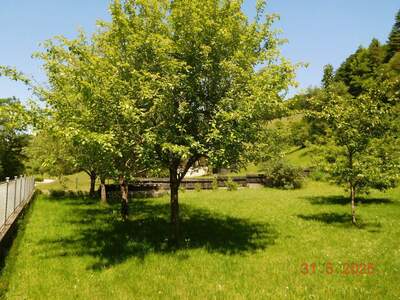 Mehrfamilienhaus kaufen in 3161 St. Veit (Bild 2)