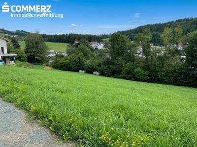 Grundstück kaufen in 2871 Zöbern