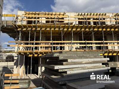 Terrassenwohnung kaufen in 6060 Hall (Bild 1)