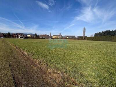 Grundstück kaufen in 8430 Leibnitz