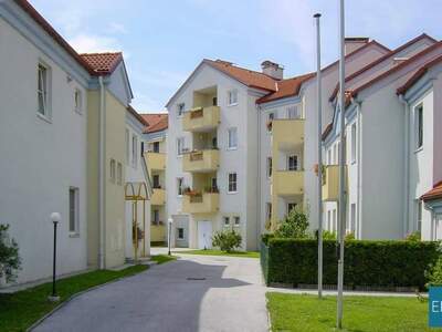 Wohnung mieten in 2752 Wöllersdorf