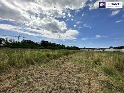 Grundstück kaufen in 8141 Unterpremstätten (Bild 4)