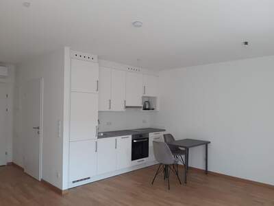 Apartment provisionsfrei mieten in 1120 Wien