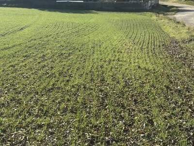 Grundstück kaufen in 3701 Großweikersdorf