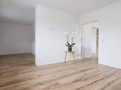 Haus kaufen in 3300 Amstetten