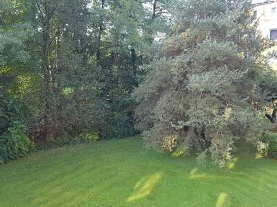 Wohnung provisionsfrei mieten in 5020 Salzburg