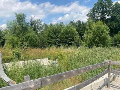 Grundstück kaufen in 2640 Pettenbach