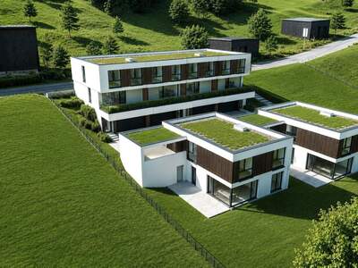 Reihenhaus kaufen in 4090 Engelhartszell