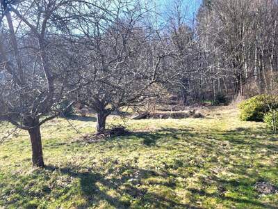 Grundstück kaufen in 3021 Pressbaum (Bild 4)