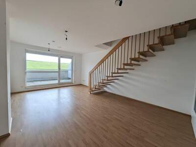 Terrassenwohnung mieten in 3382 Loosdorf (Bild 1)